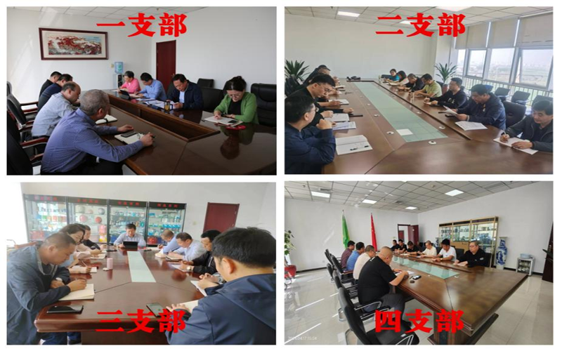 776net必赢公司各支部认真学习贯彻王正谱省长在省政府第二次全体会议上的讲话精神 776net必赢公司各支部认真学习贯彻王正谱省长在省政府第二次全体会议上的讲话精神