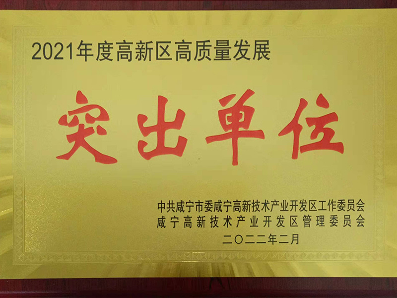 2021年度高新区高质量生长 突出单元