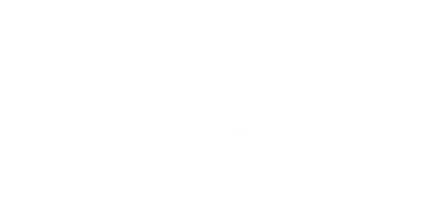 目标 目标