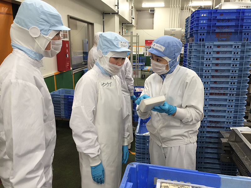 Japan - Food Processing