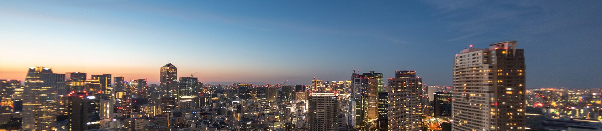 事業内容