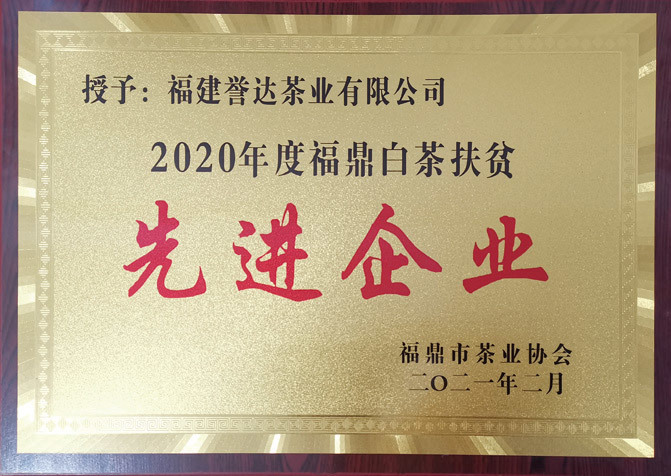 2020 Fuding White Tea Advanced Enterprise for poverty alleviation 2020 Fuding White Tea Advanced Enterprise for poverty alleviation