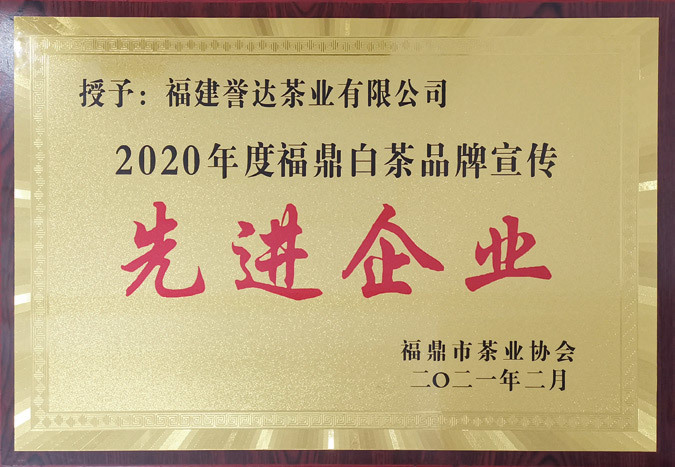 2020年度福鼎白茶品牌宣传先进企业