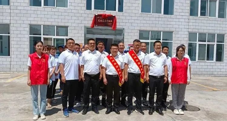 太龙药业豫中药厂党支部荣获先进基层党组织称号