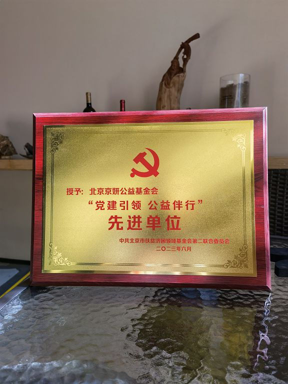 获评“党建引领公益伴行”先进单位