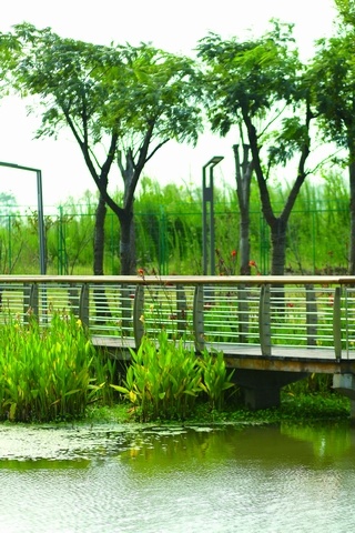 武汉国际博览中心配套景观水系工程