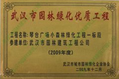 2009琴台广场小森林绿化工程获武汉市园林绿化优