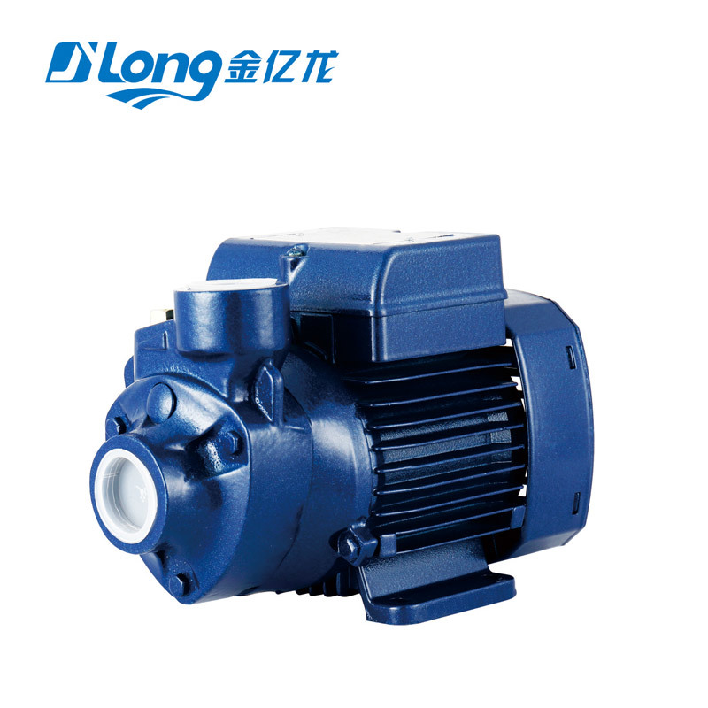 PKM peripheral pump