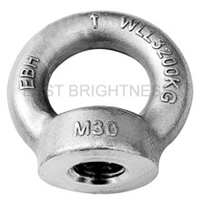 S6582 Eye Nut DIN 582 Type Drop Forged