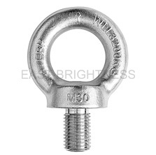 S6580 Eye Bolt DIN 580 Type Drop Forged