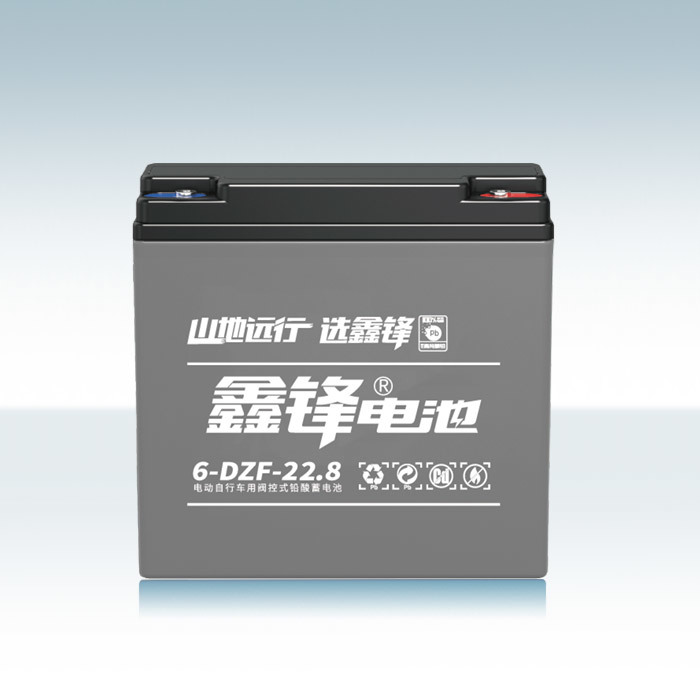 鑫锋6-DZF-22.8电池