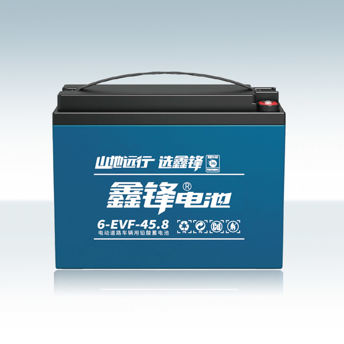 金沙6-EVF-45.8电池