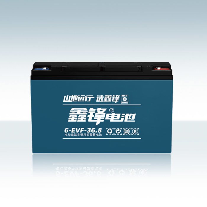 金沙6-EVF-36.8电池