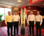 图片名称