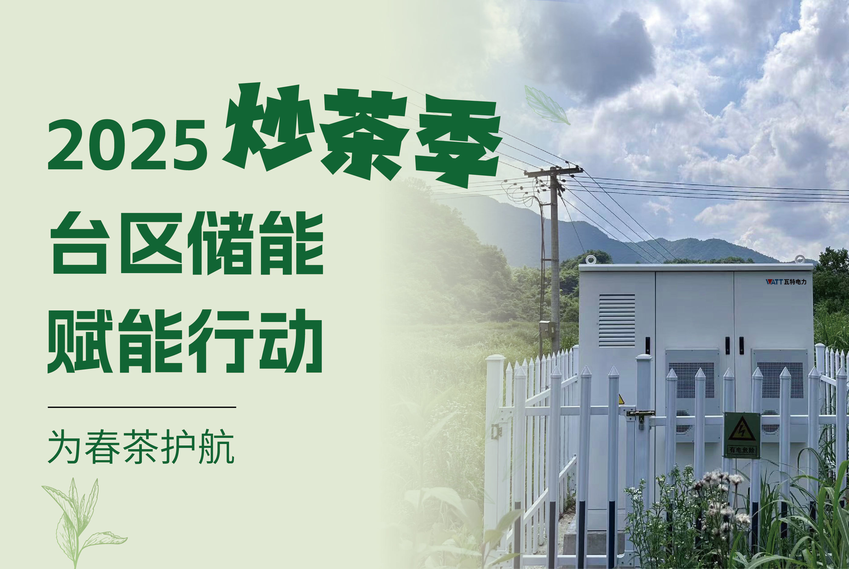 限時搶裝！臺區儲能為春茶護航