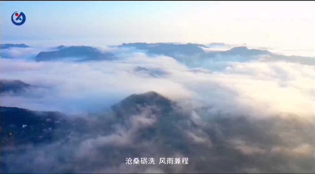 高信视频