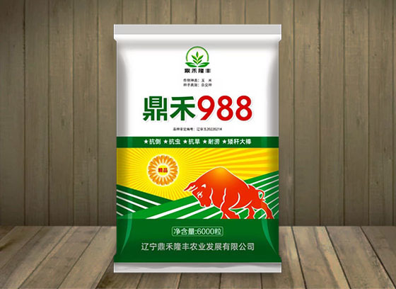 鼎禾988_1