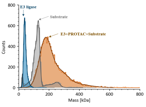 Applications of Mass Photometry at Biortus