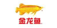 金龍魚(yú)