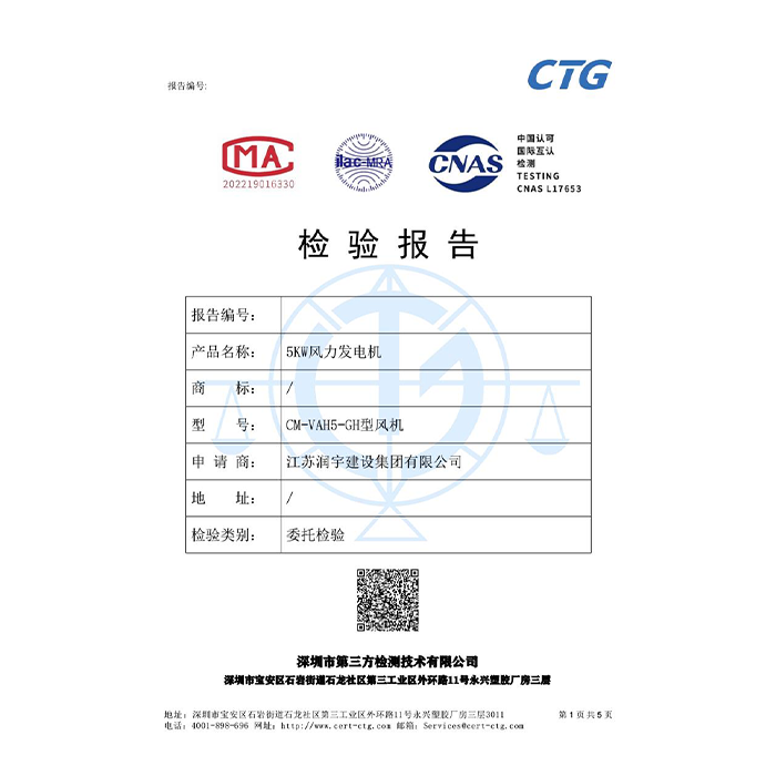 发电机检验报告