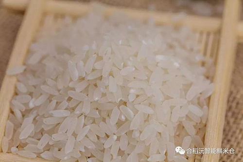 東華農(nóng)業(yè)