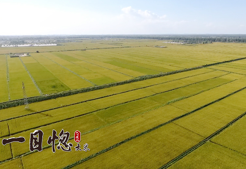 種植基地