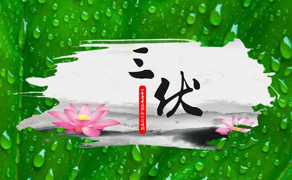 老人說出伏要“三做三防三不要”