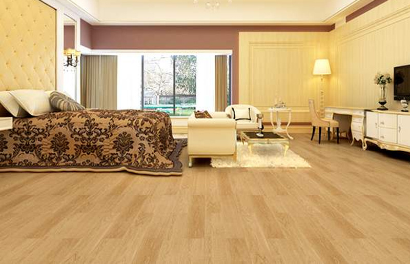 Increased container volume in the Chinese market European spruce supply will gradually recover