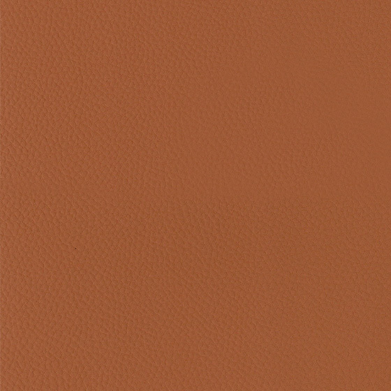 SK0031