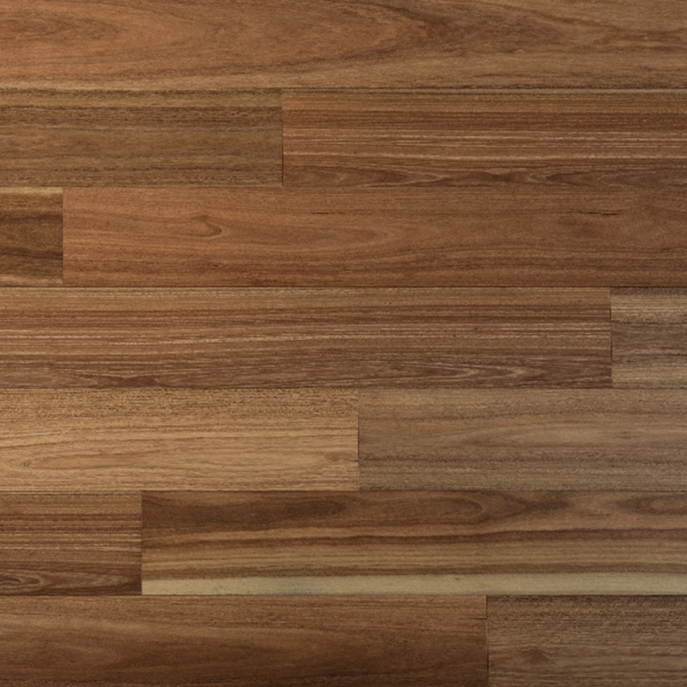 Spotted gum