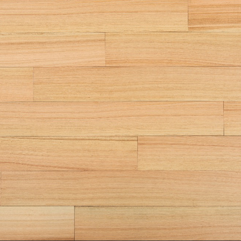 Tasmania oak