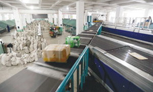 Distribution sorting equipment with Drum Motor