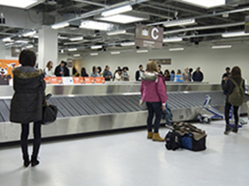 The role of the Seaparks Drum in the luggage handling system