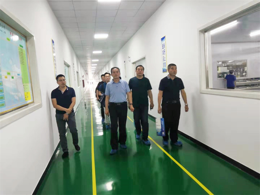 Lei Zhengming, Deputy Secretary-General of China Electronics Materials Industry Association and Secretary-General of Copper Clad Laminate Materials Branch, and his party visited the Company
