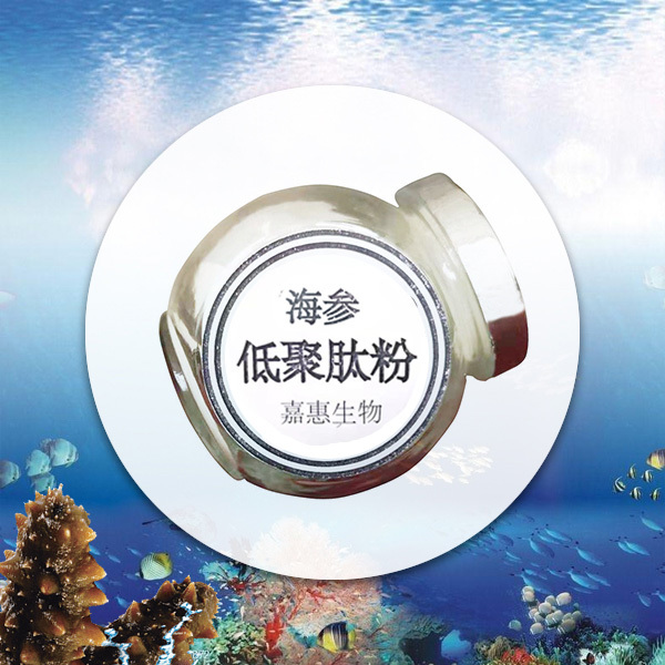 Sea cucumber oligopeptide powder