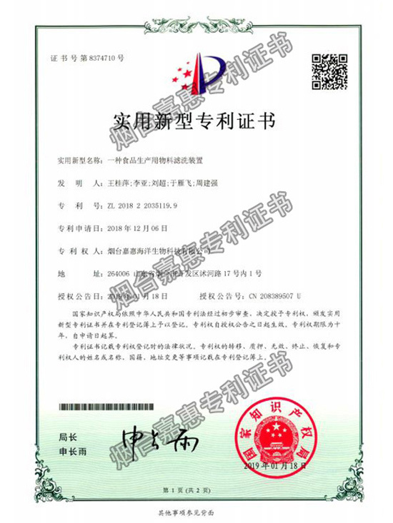 Patent Certificate 3