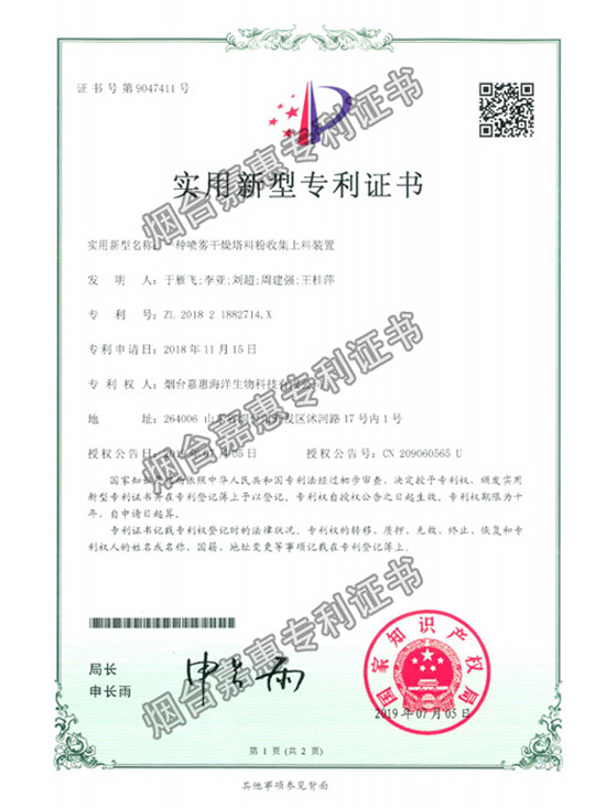 Patent Certificate 4