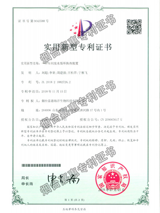 Patent Certificate 2