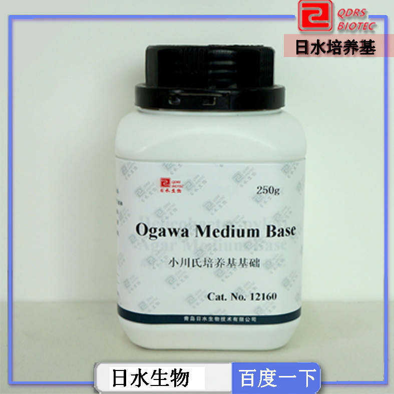 СB(yng)A(ch)Ogawa Medium Base