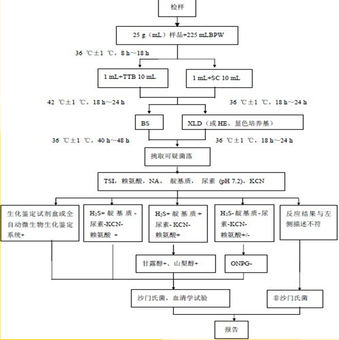沙門氏菌檢驗(yàn)程序見圖