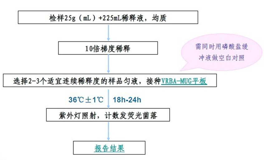 大腸埃希氏菌平板計數(shù)法圖片