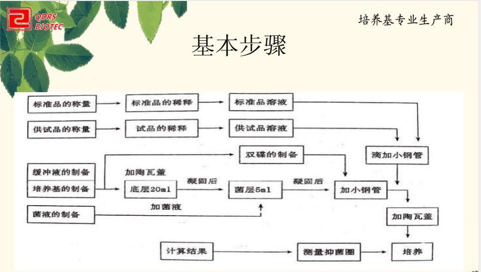 【】抗生素檢測(cè)管碟法圖