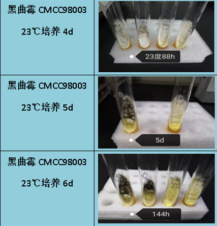 sda干粉性能對比圖