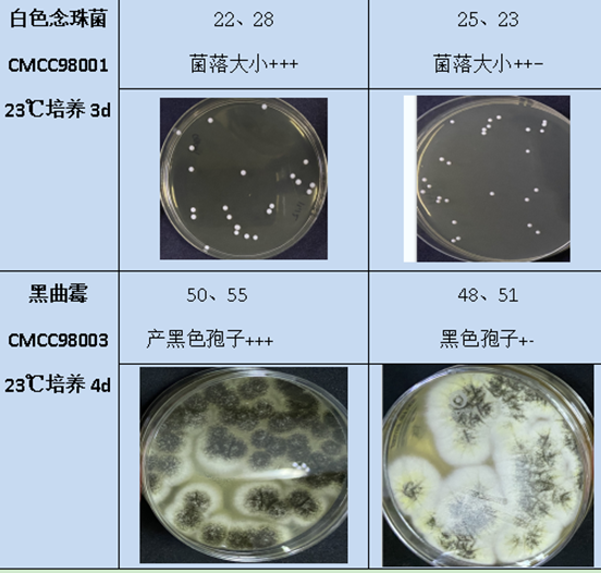 日水生物SDA平板性能對比圖