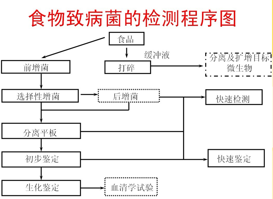 食物致病菌的檢測程序圖