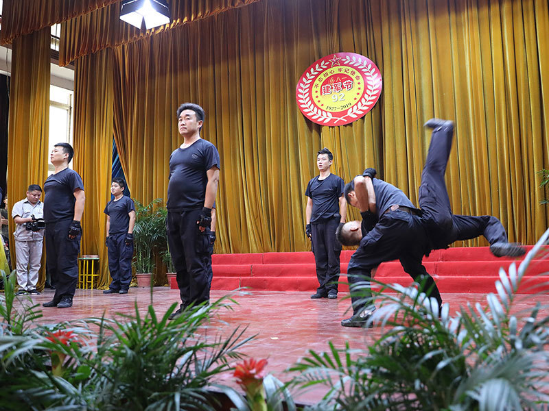 Army Day performance