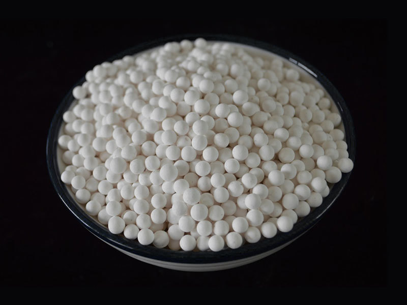 Pd-Catalyst Carrier