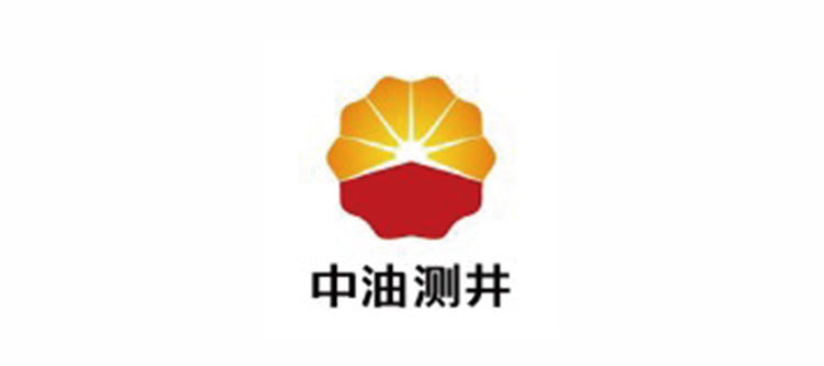 中 国 石 油 集 团 测 井 有 限 公司 中 国 石 油 集 团 测 井 有 限 公司