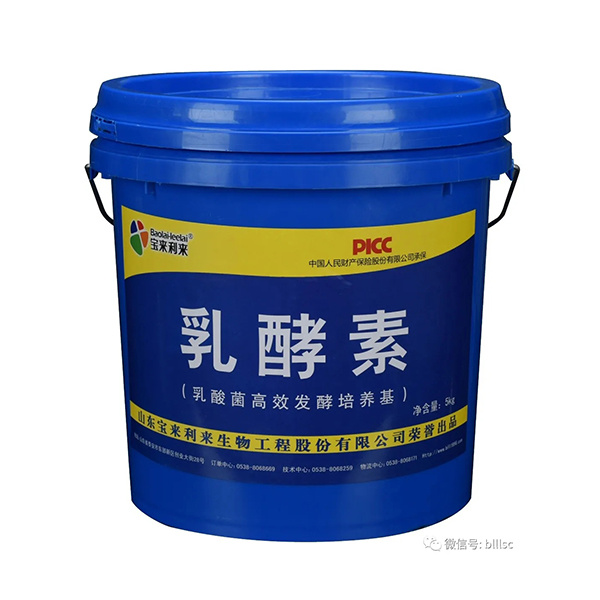 乳酵素