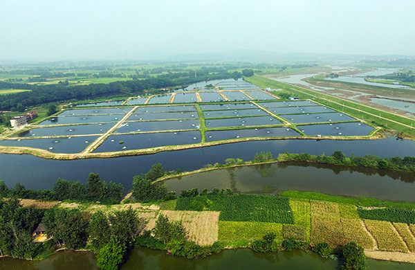 特种水产养殖十种新技术